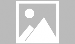 妖精视频,奇幻世界中的神秘生物揭秘